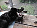 View full size picture