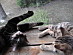 View full size picture