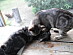View full size picture