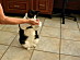 View full size picture