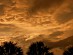 View full size picture