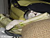 View full size picture
