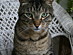 View full size picture
