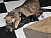 View full size picture