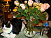 View full size picture