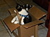 View full size picture