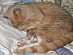 View full size picture