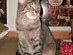 View full size picture