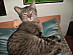 View full size picture