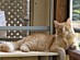 View full size picture