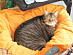 View full size picture