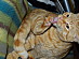 View full size picture