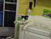 View full size picture