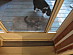 View full size picture