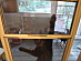 View full size picture