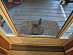 View full size picture