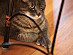 View full size picture
