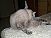 View full size picture