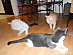 View full size picture