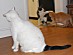 View full size picture