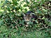 View full size picture