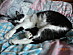 View full size picture