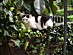 View full size picture