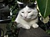 View full size picture