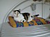 View full size picture