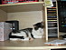 View full size picture
