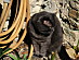 View full size picture