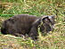 View full size picture