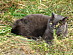 View full size picture