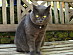 View full size picture