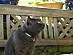 View full size picture
