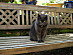 View full size picture