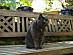 View full size picture