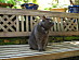 View full size picture