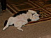 View full size picture