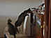 View full size picture