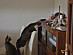 View full size picture