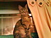 View full size picture