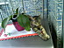 View full size picture