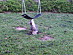 View full size picture