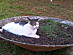 View full size picture