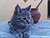 View full size picture