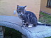 View full size picture