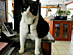 View full size picture