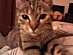 View full size picture