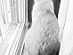 View full size picture